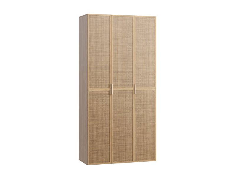 Распашной шкаф Флавир 3-120x250 Ротанг