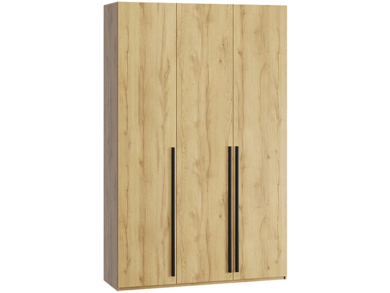 Распашной шкаф Кимбол 3-170x240 Дуб Золотистый