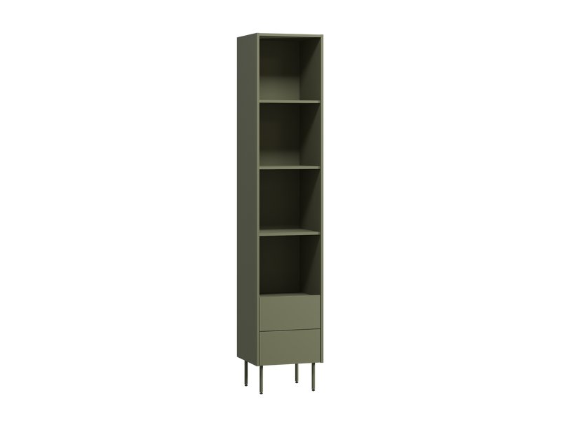 Стеллаж Дигарс 43x220 Оливковый